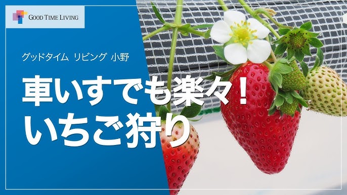 一日の時間計算を簡単にするアプリ｜逆算タイムテーブル – ほがらかワークス（HOGARAKA