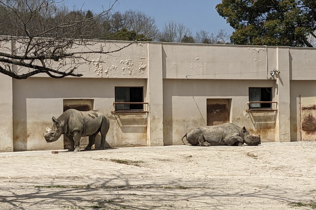 クラブの歩み│広島ニューライオンズクラブ│336-C地区 5R2Z