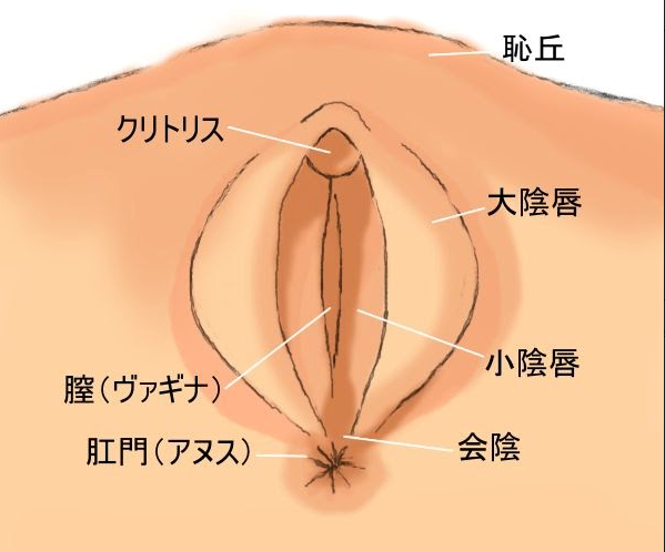 女性のイカせ方｜妻をイカせてsex好きの体質に変える - 手 マン で