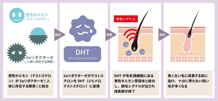 おなほーる 大型オナホ 人気 オナ二ー