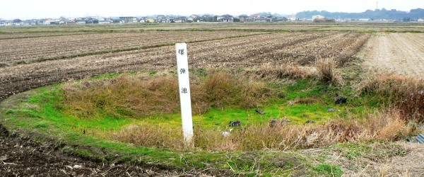 ニッポンのウサギさん」が再び空に飛び立たないように 個人で膨大な戦時資料を集め続けた女性｜熊本県宇城市の戦跡 薄れる戦争の記憶 NHK