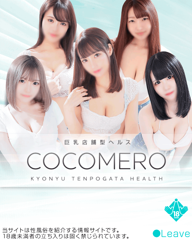 cocomeroさんのコメント | マイネ王案内所