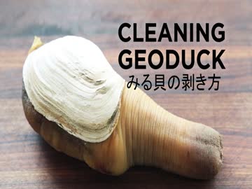 チンコによく似ている「オイシイ」食べ物ベスト。食べる勇気はある？｜BLニュース ちるちる