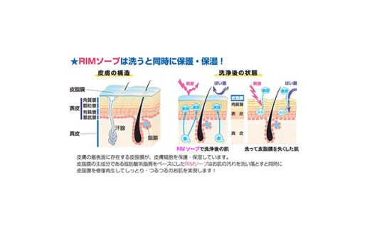 消臭・芳香剤 エアステップ ソープ