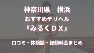 秋田・横手のおすすめ風俗4選！新垣結衣似と本番!?NN/NS情報も！ | happy-travel[ハッピートラベル]