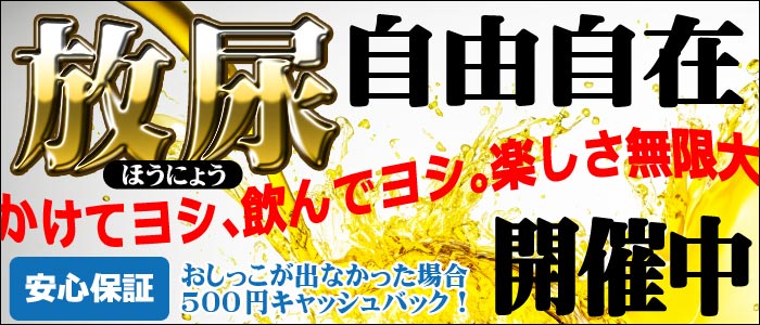 新宿・歌舞伎町で保証制度ありの風俗求人｜高収入バイトなら【ココア求人】で検索！