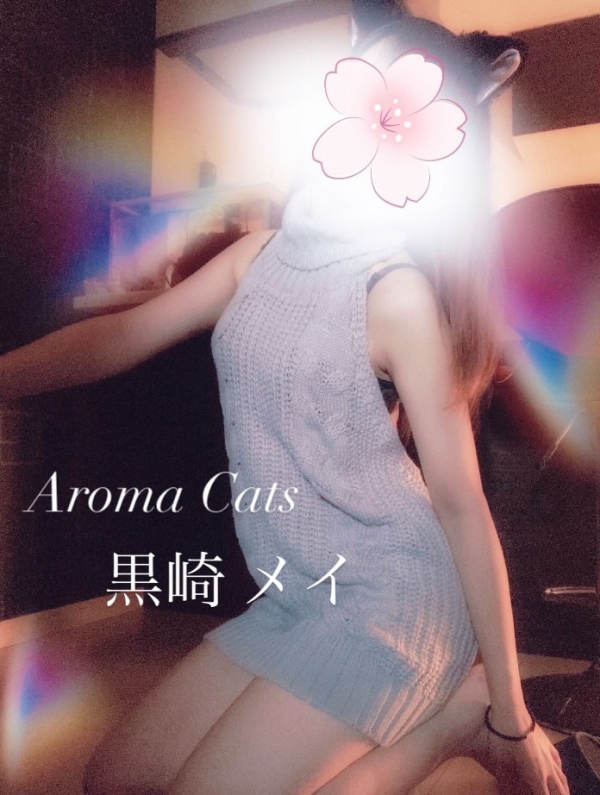 大宮メンズエステ アロマキャッスル - Aroma Castle