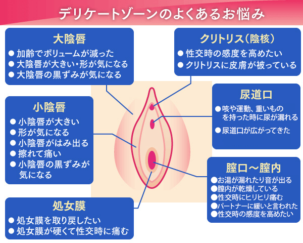 46歳で第3子出産の産後にクリトリスの勃起はどれぐらい？勃起させる方法も解説【産婦人科医監修】 - 