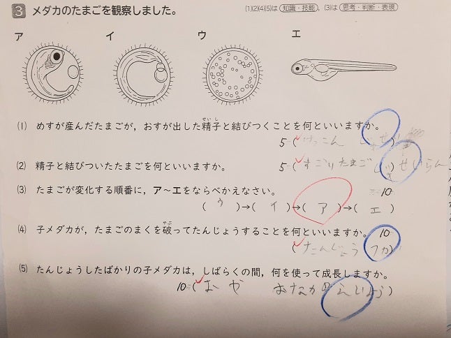 精液濃度の改善に重要な10の食べ物と5つの悪影響な食事 | ナイトプロテインPLUS