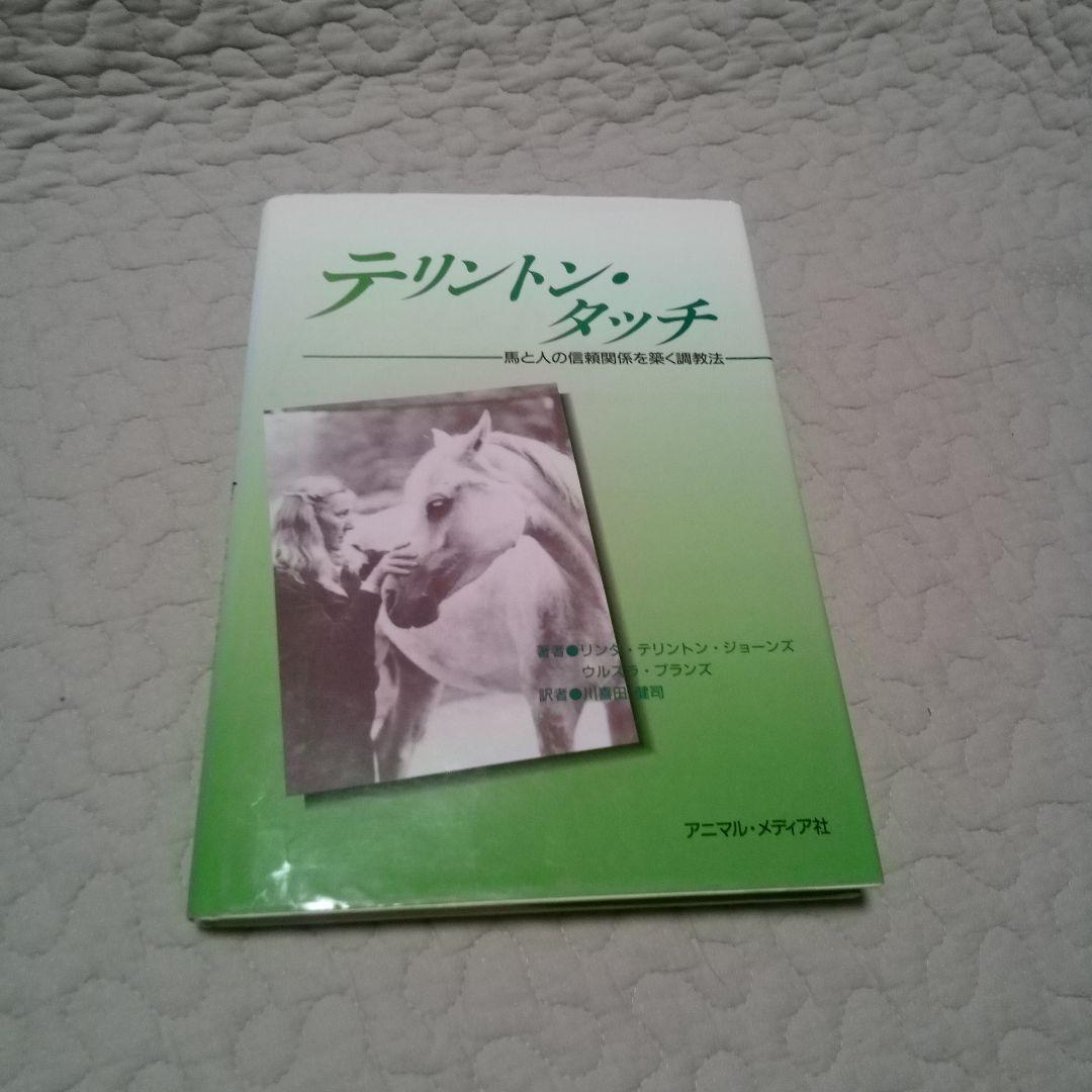 アメリカ遠征記】場所が変われば、調教方法も変わります。 | 競馬ニュース