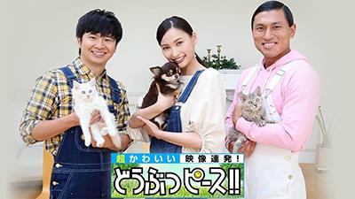 塚越OS館：物件情報 | 埼玉県蕨市／ホームメイト