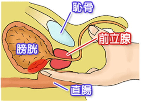 男性のための大人の講座】夜の保健室～秘密の特別授業～