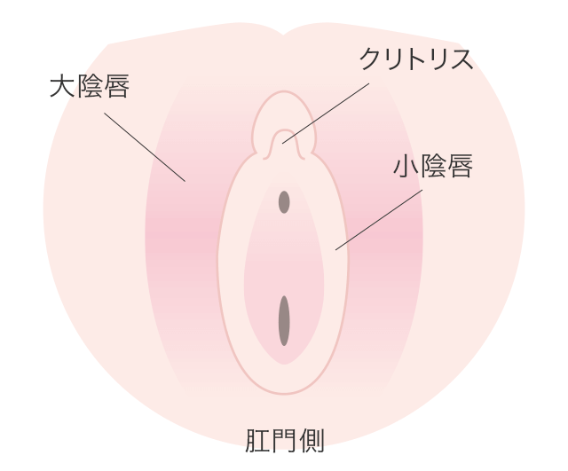 クリトリス包茎 | 診療案内 | 婦人科形成ならAMORE