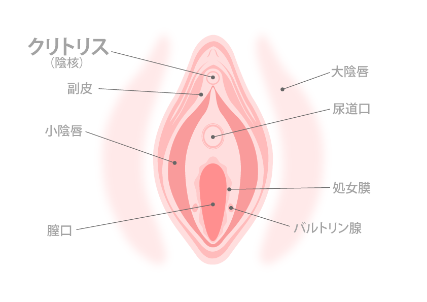 クリトリス包茎｜銀座みゆき通り美容外科大阪院