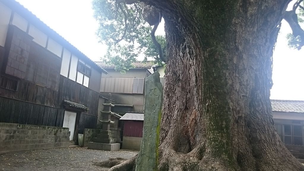 準備完了(♥Ü♥)↑↑｜写メ日記 - うきは｜熟女家梅田店 -