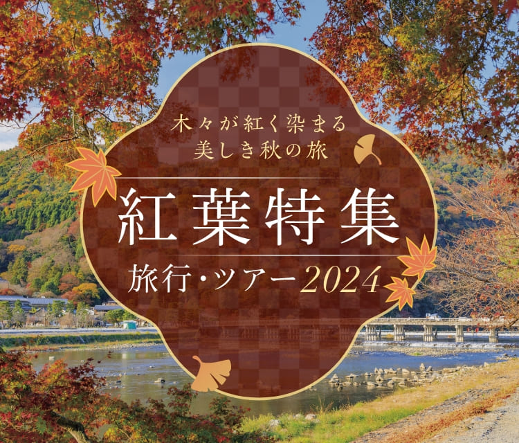 京都】自家製麺の淡麗鶏醤油ラーメン！雲吞もお忘れなく「らぁ麺や ふぢとら」 (2024年8月28日) - エキサイトニュース