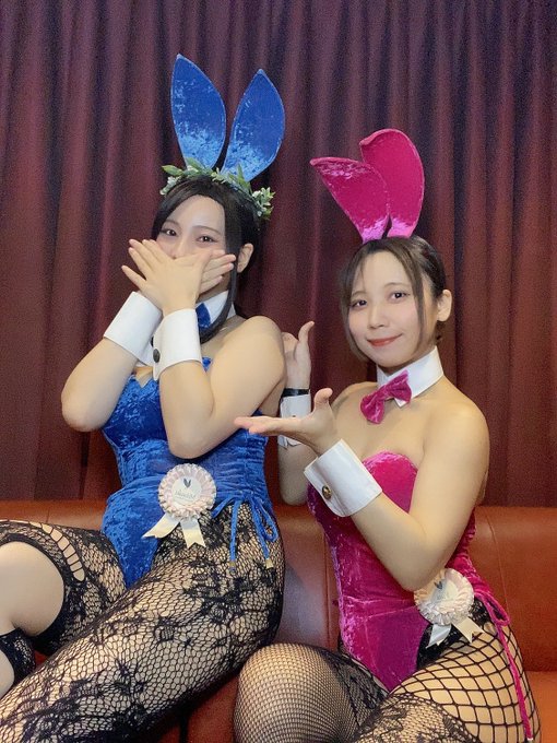 BunnyPalaceバニーパレス秋葉原ガールズバー on X: 