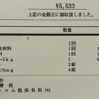 楽天市場】《SALE☆28%OFF》＼レビュー390件☆／ボトルブレンダー 電動ミキサー ジュースミキサー ミキサー