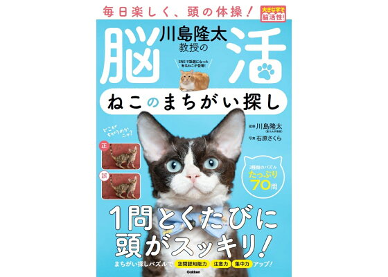 オッサンだってネコが好き！オーシャンズ「ネコ・オブ・ザ・イヤー」中間発表②