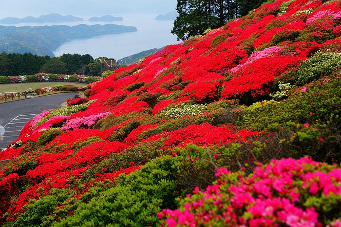 長崎県 佐世保市のウィークリー・マンスリーマンション・ホテル・旅館 | へやクラウド