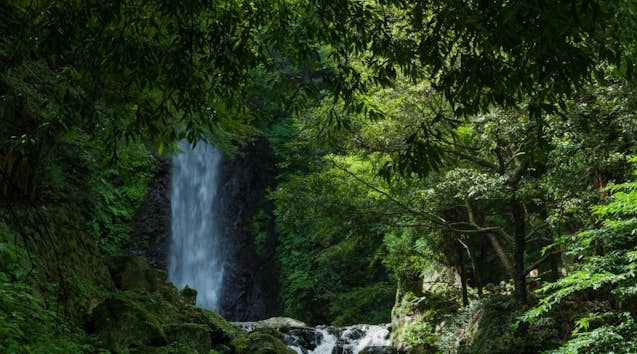 岐阜県 大人も楽しめる午後から遊べる 子供の遊び場・お出かけスポット | いこーよ