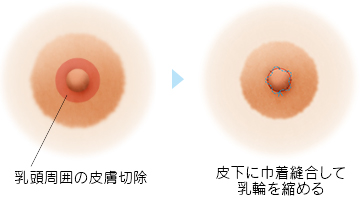 連載 ブランニュープラチナブック2022 | 絵本ナビ