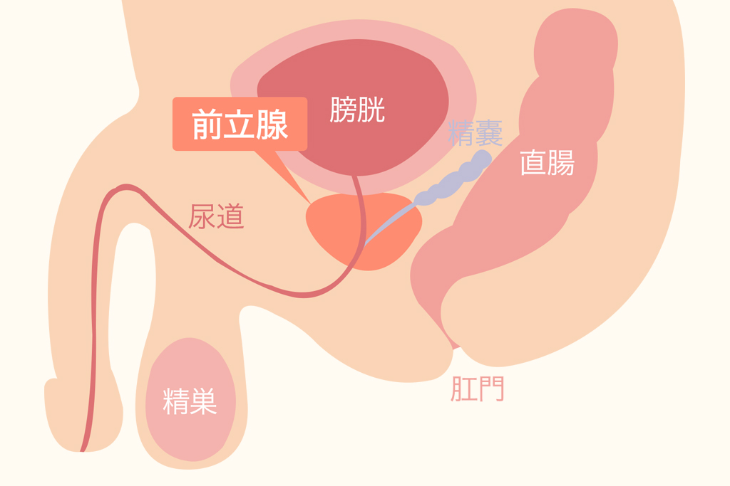 男性】オナニーの種類とやり方22選｜気持ちいいオナニーのやり方を厳選紹介！ | DESEO