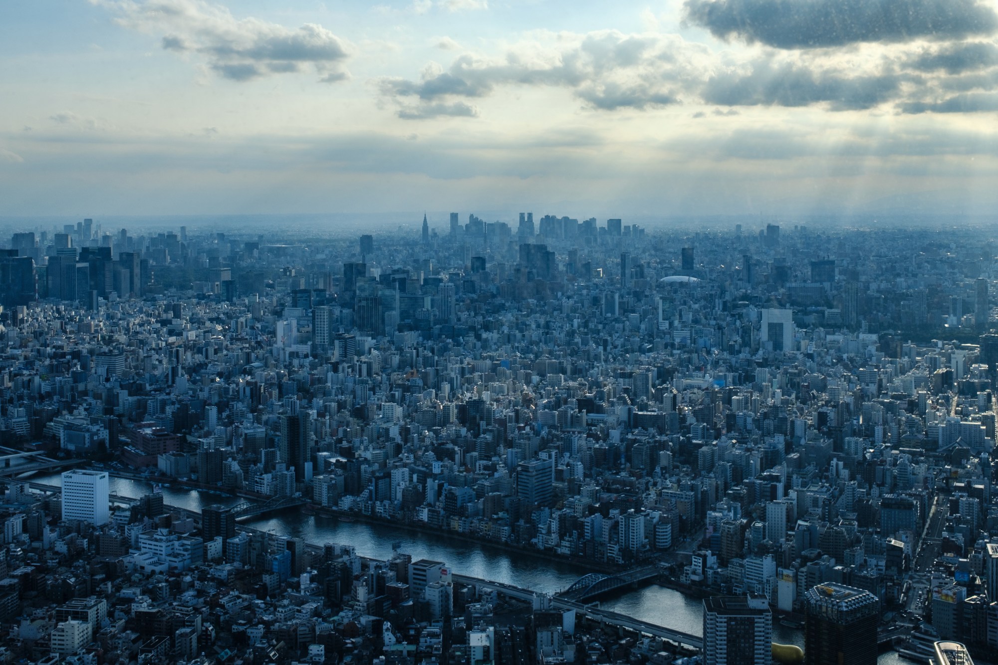 A Guide to Tokyo's Red