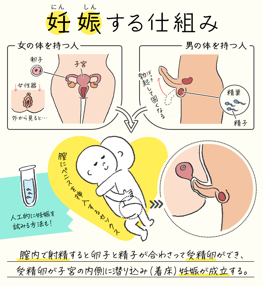 アナルセックスって気持ちいいの？気持ちいいやり方と準備や開発方法を伝授！！