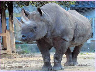 広島】大人も子どもも1日たっぷり遊べる！「安佐動物公園」 | aumo[アウモ]