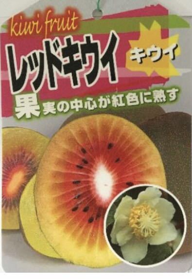 機が熟すのを待つ, きがじゅくすのをまつ, kigajukusunowomatsu -