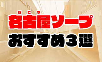 愛知県の激安風俗ランキング(2ページ目)｜駅ちか！人気ランキング