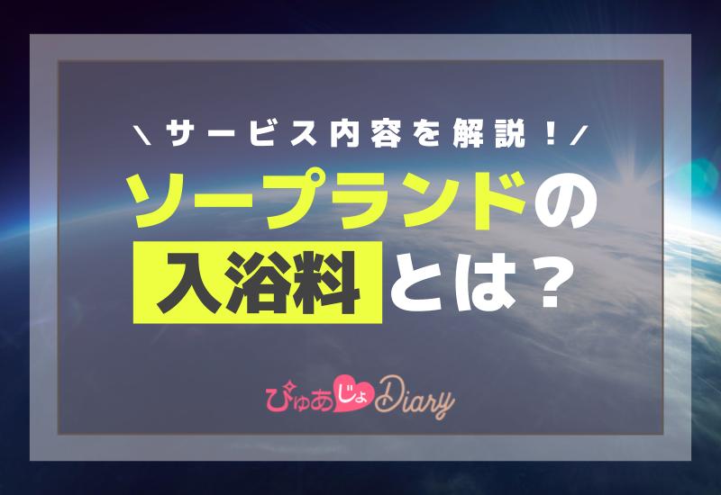 ソープランドの料金は？総額の相場や入浴料の仕組みを公開｜西川口の風俗ソープランド【ニュールビー】