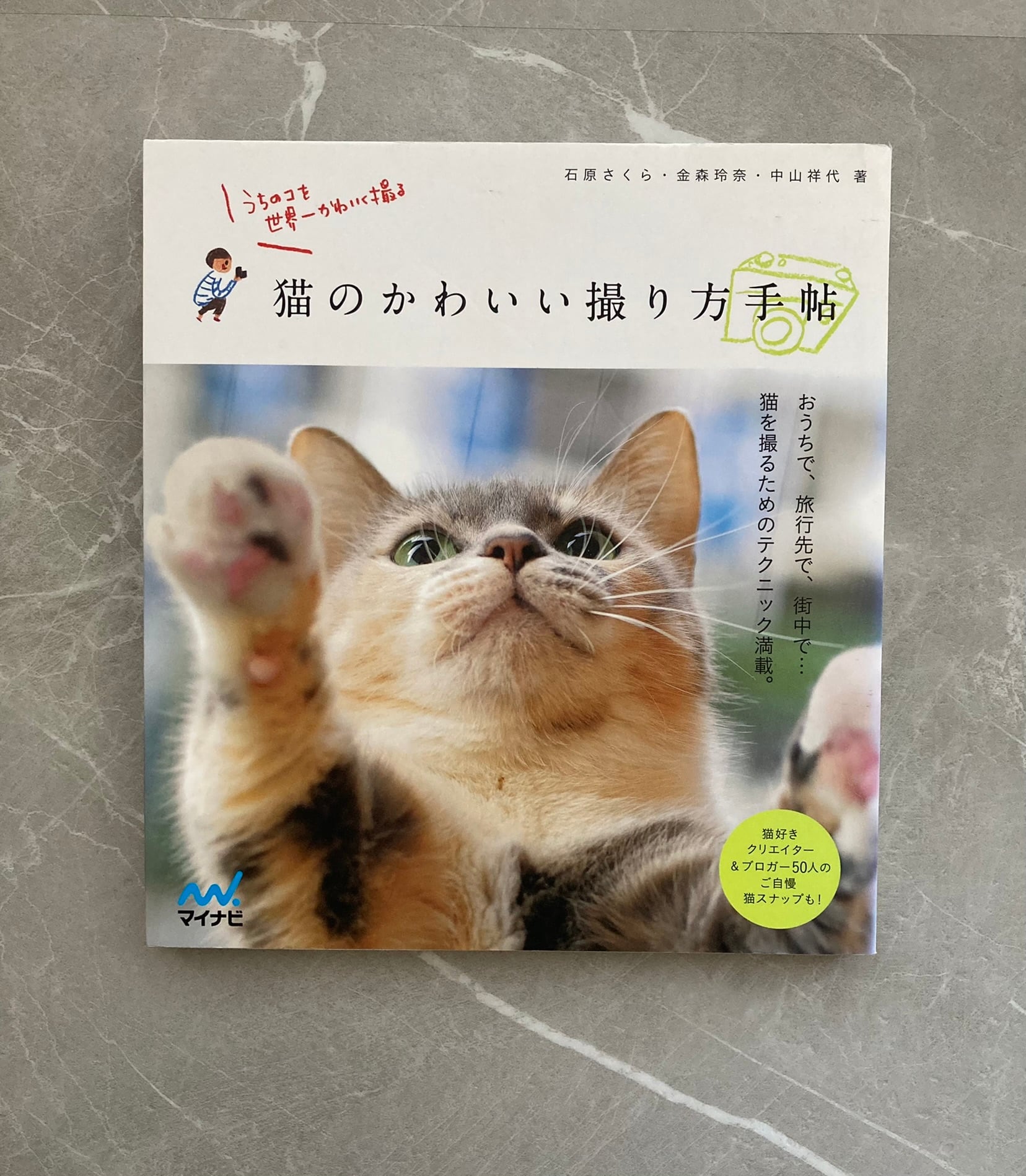 猫写真に癒やされながら楽しく脳トレ！『川島隆太教授の脳活 ねこのまちがい探し』 – ペトハピ