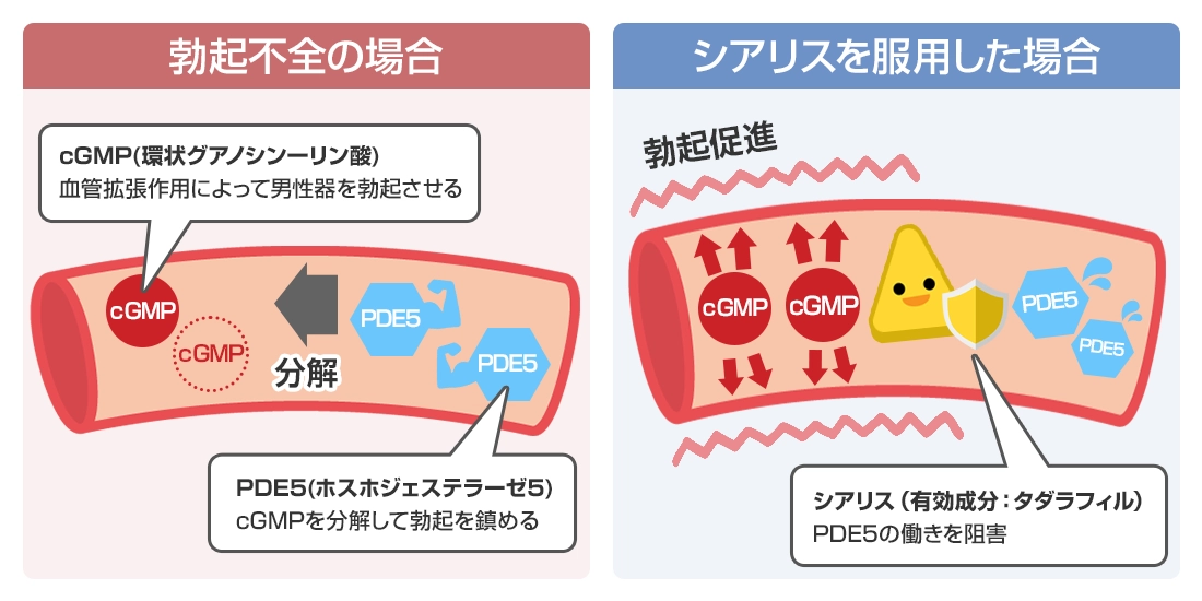 シアスマの口コミ｜効果のレビューや体験談はこちら｜お薬なび