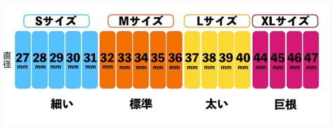 ちんこサイズ17cmあれば巨根？基準や正しい計測方法を知ってデカチン判定しよう