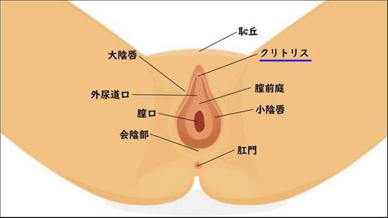 【男の快楽・女の愛～イカせるセックスで女の心を溶かす極意～富永喜代のセックスオンラインスクール