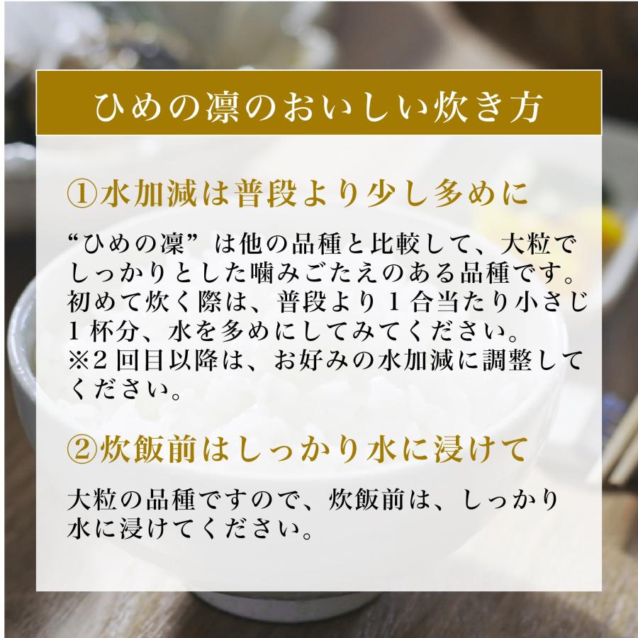 愛媛県のブランド米「ひめの凛」の特徴と購入方法を紹介！大粒で冷めてもおいしいもっちり米【実食レポートあり】 | こめむすひ（こめむすび）