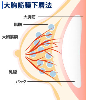 たった2つのコツで後背位（バック）は圧倒的に上手くなる！やり方を徹底解説｜駅ちか！風俗雑記帳