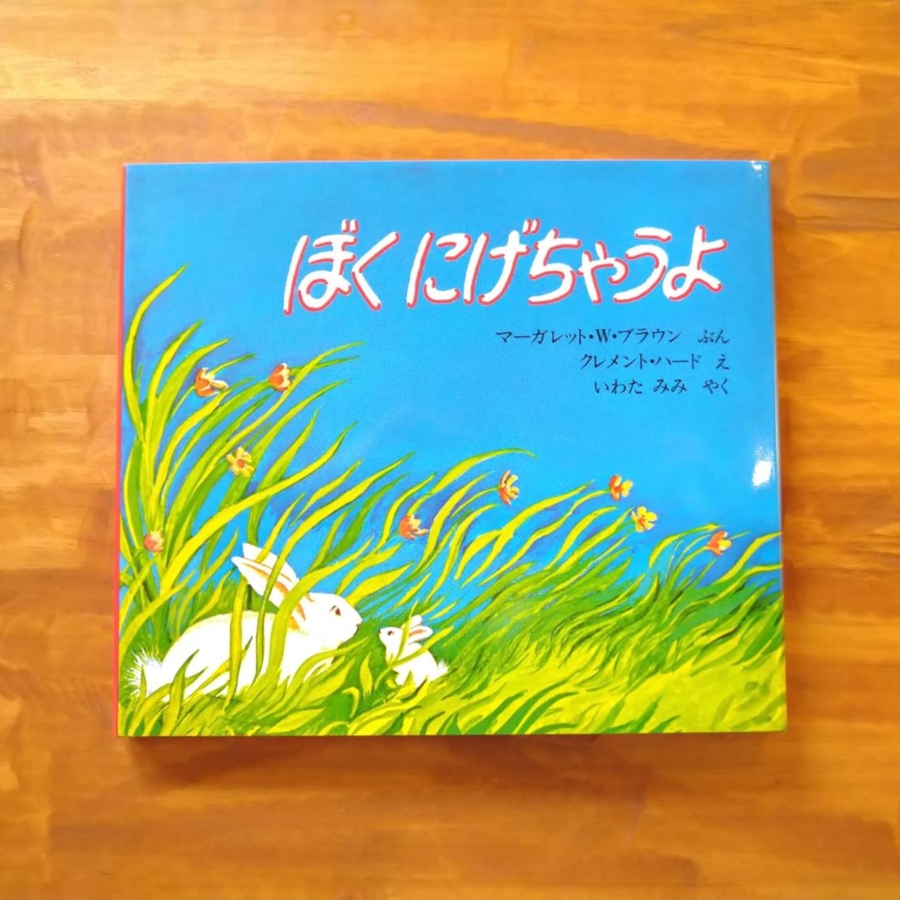 おはなし会の部屋｜ 悲しみのゴリラ