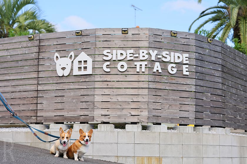 海を間近に感じられる『SIDE-BY-SIDE DOGCOTTAGE千葉一宮』で 過ごす家族水入らずの休日！ | 