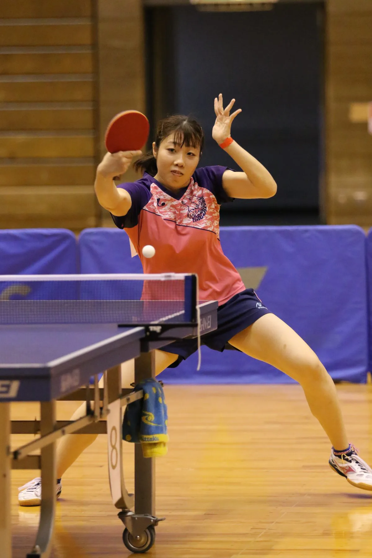 東京女子】沙希様が八王子大会を「ハチ・王子」と勘違い「ワタクシたちのほうが位が高いの」 - プロレス写真ニュース