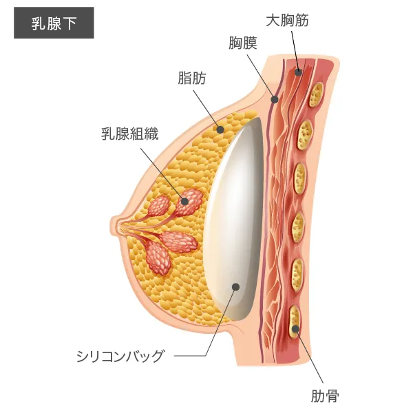 立ちバックとは？やり方・コツ・気持ちいい挿入方法を解説│熟女動画を見るならソクヨム