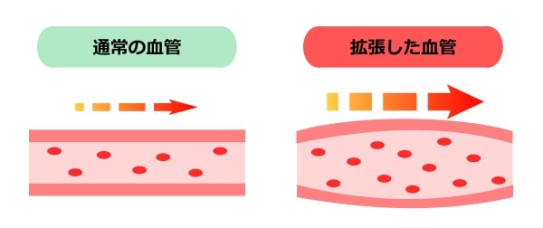 ペニス（ちんこ）を硬くする方法は？中折れ・勃起が持続維持できない原因と改善策を徹底解説