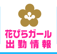 作品「ど素人（秘）風俗探検隊 花びら回転ヘルス編」の画像20枚 - エロプル