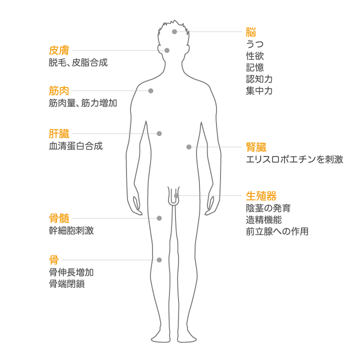 男性更年期障害とは？ - 大阪AGA加藤クリニック