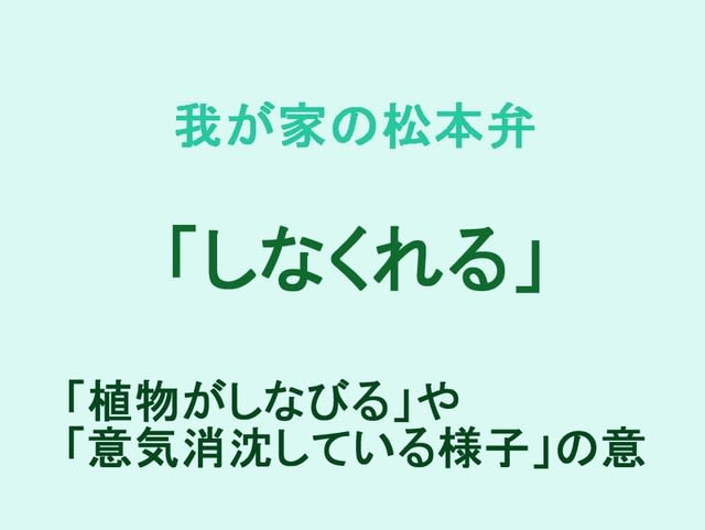 例文で覚える四字熟語 #無我夢中 #意気消沈