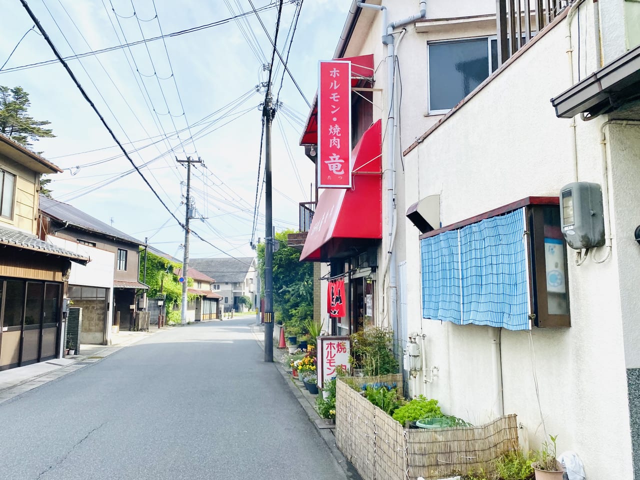 浦島太郎伝説の聖地「長崎鼻パーキングガーデン」と「龍宮神社」への旅