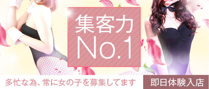 ミカヅキ【エロスの申し子】」和歌山ドMなバニーちゃん（ワカヤマドエムナバニーチャン） - 和歌山市/ソープ｜シティヘブンネット