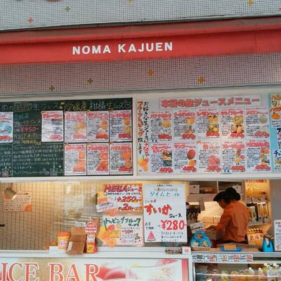 noma-noma(のま果樹園 松山大街道店) | 17周年創業祭まで、